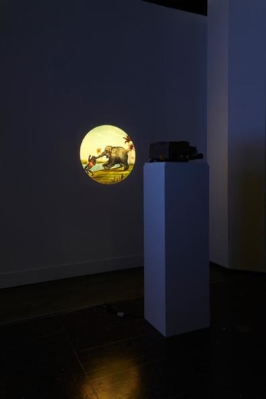 minerva cuevas, vista de instalaci&oacute;n de&nbsp;disidencia, mishkin gallery, nueva york,&nbsp;2019&nbsp;foto:&nbsp;isabel asha penzlien