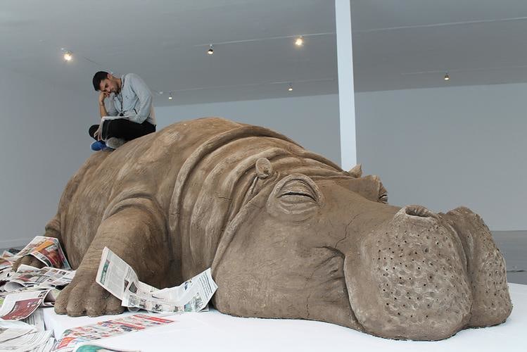  allora &amp;amp; calzadilla, hope hippo, museo de arte carrillo gil, mexico city, 2018