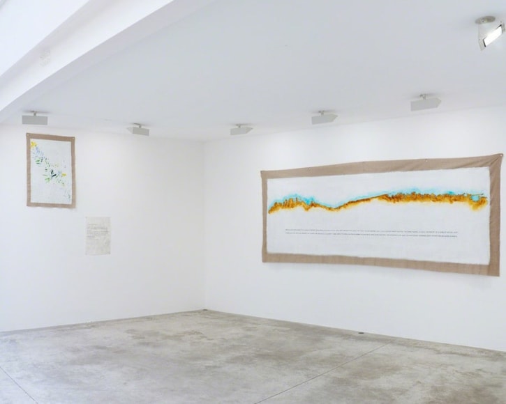 jimmie durham, maria thereza alves,&nbsp;in the middle earth,&nbsp;institut d&rsquo;art contemporain - villeurbanne