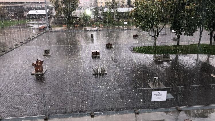  dami&aacute;n ortega, vista de instalaci&oacute;n the modern garden, garage museum of contemporary art, mosc&uacute;, 2018