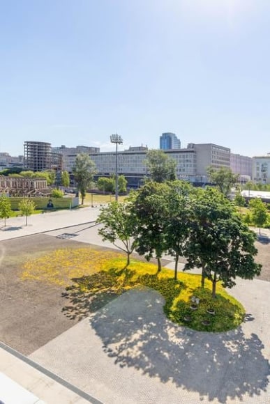  allora &amp;amp; calzadilla, vista de instalaci&oacute;n de&nbsp;graft, garage square, garage museum of contemporary art, mosc&uacute;, 2019.&nbsp; foto: ivan erofeev