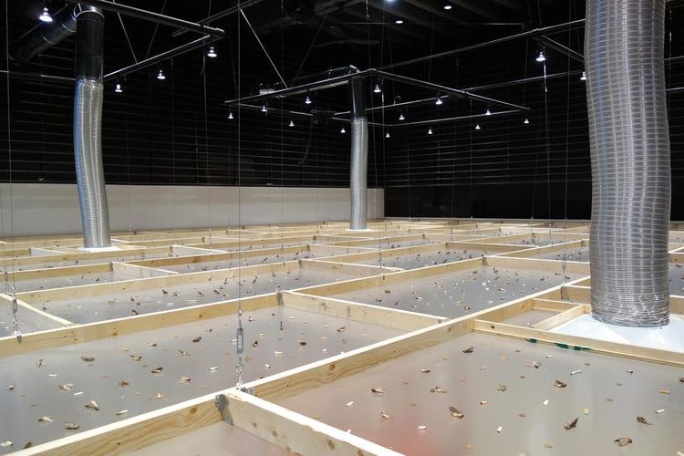 gabriel kuri, vistas de instalacion spending static to save gas, oakville galleries at centennial square, oakville, 2019