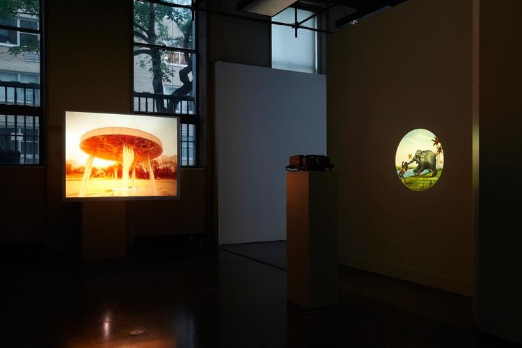 minerva cuevas, vista de instalaci&oacute;n de&nbsp;disidencia, mishkin gallery, nueva york,&nbsp;2019&nbsp;foto:&nbsp;isabel asha penzlien