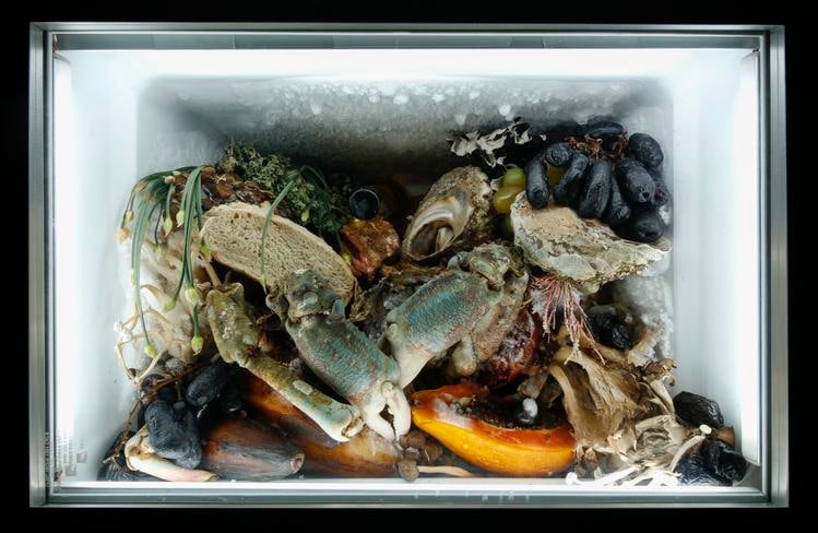  adri&aacute;n villar rojas, installation view of the theater of disappearance, moca, los &aacute;ngeles, 2017