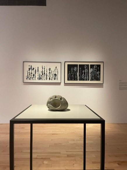 mariana castillo deball, dr. lakra, museo amparo de puebla, 2021