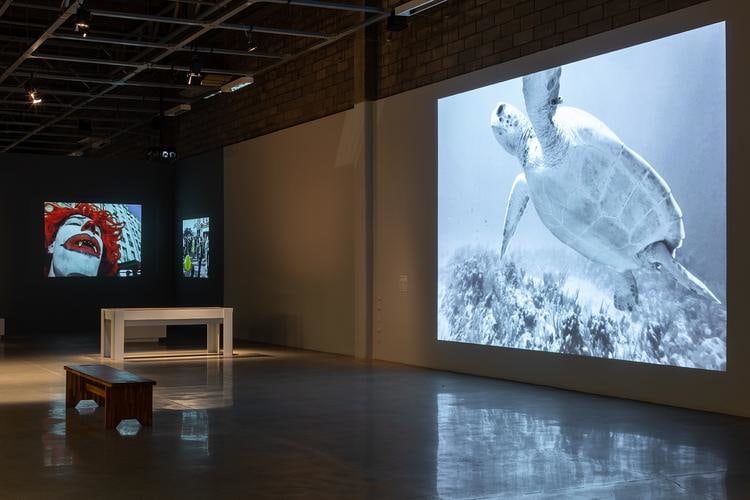  minerva cuevas, installation view of&nbsp;dissidencia, galpao vb, sao paulo, 2018