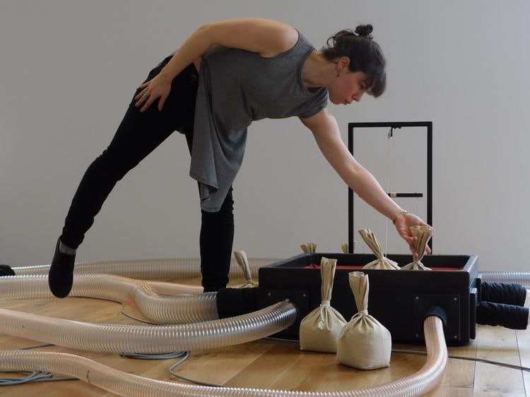  c. lavender, guest resident at organ within,&nbsp;kurimanzutto new york, 2019