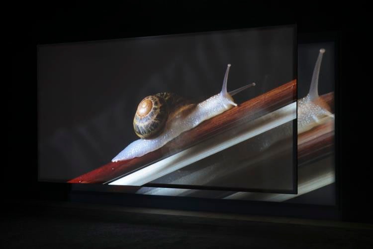  anri sala,&nbsp;if and only if, 2018