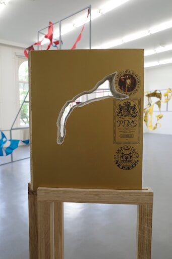 mariana castillo deball, a solo exhibition, vista de instalaci&oacute;n en witte de with center for contemporary art, 2019&nbsp;foto: manuel raeder