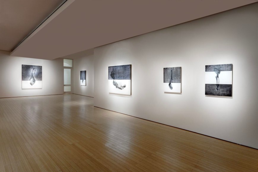  Andrew Wapinski gallery view II