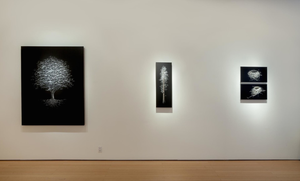 Balance &amp;  Perception