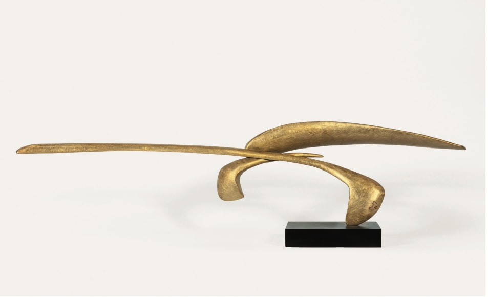 David Borgerding ANOIK, 2021