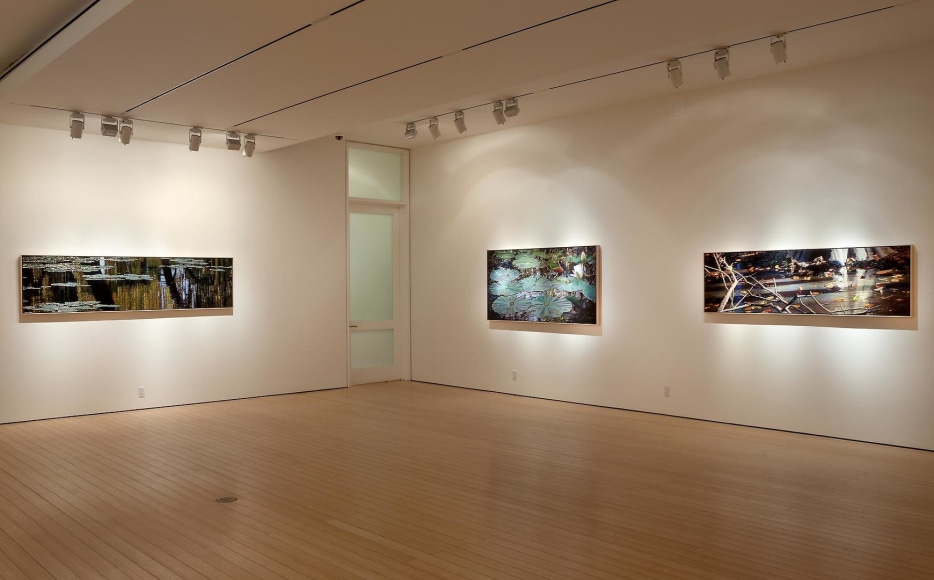 Gallery View&nbsp;