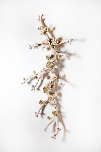 Bradley Sabin Branching Antler, 2023