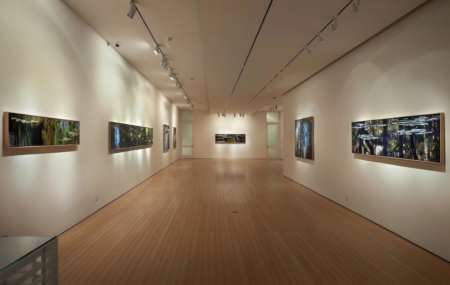 Gallery View