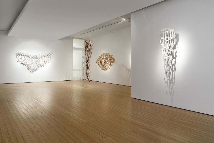 Full Circle gallery view