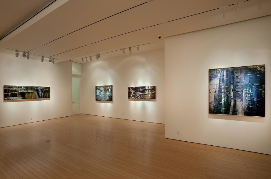 Gallery View&nbsp;