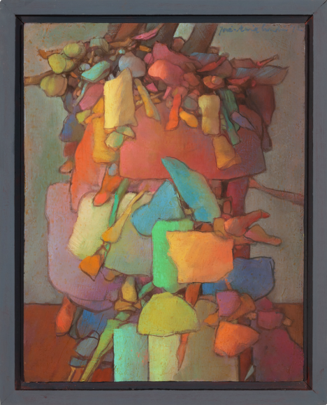 Ignacio Arana Appeals to the Supreme Court