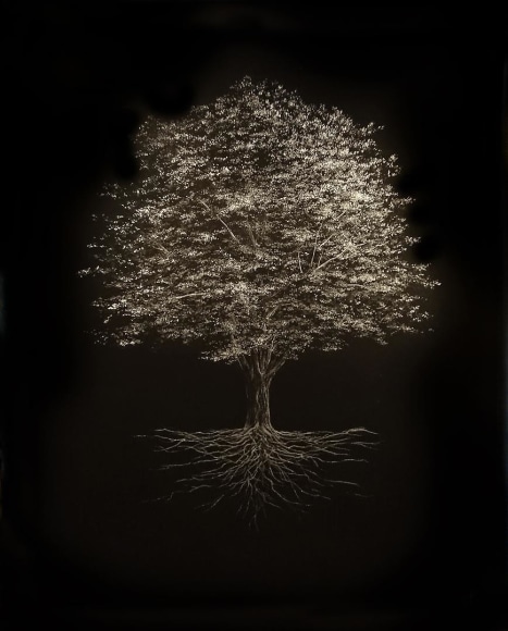 Sugar Maple&nbsp; incised painted aluminum