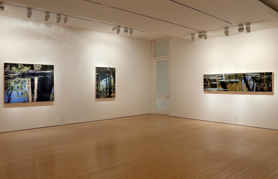 Gallery View