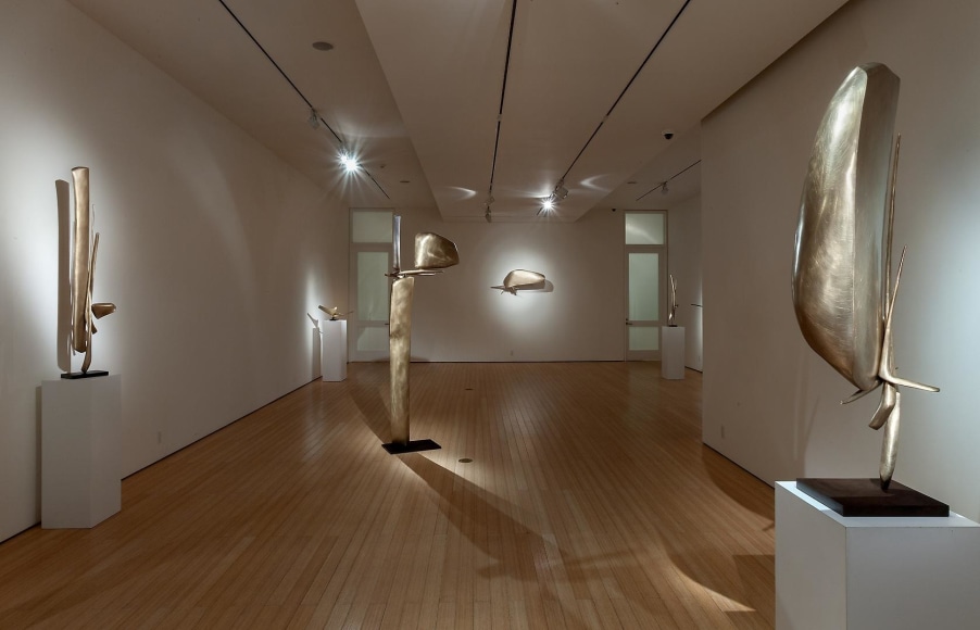 Gallery View