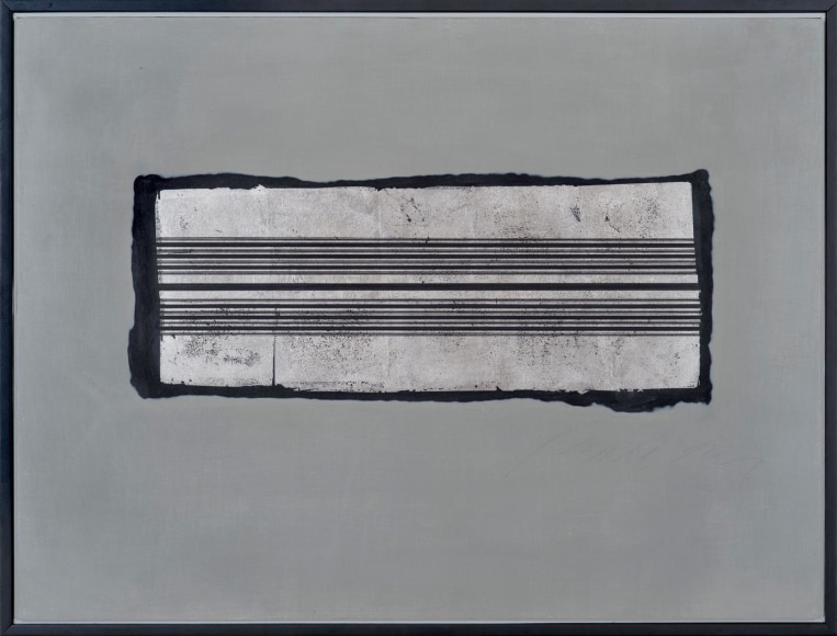 Velutina - Alluvion Series