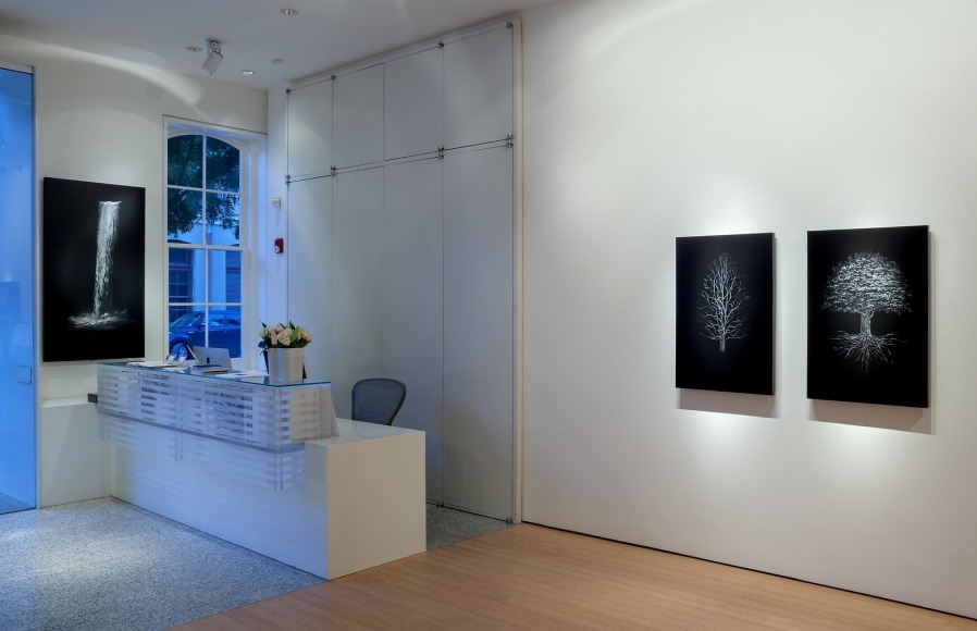 Balance &amp;  Perception