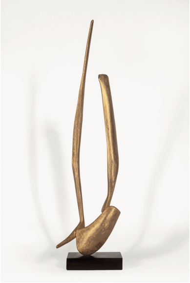 David Borgerding ANIPAT, 2021