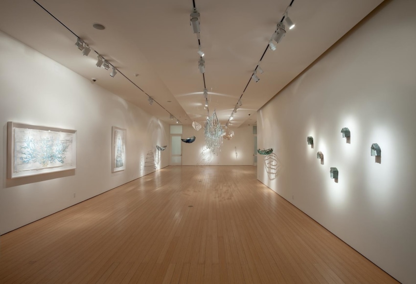 Gallery View