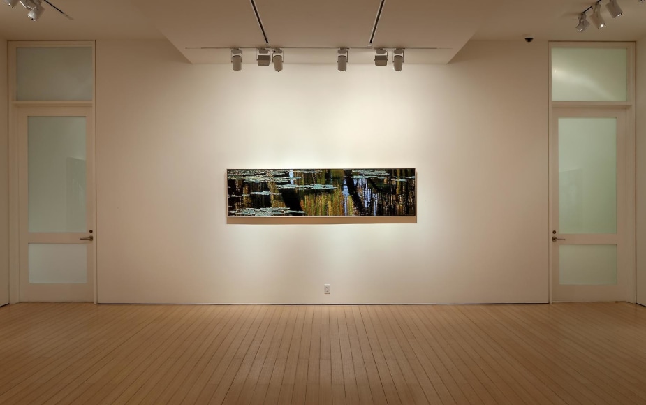 Gallery View&nbsp;