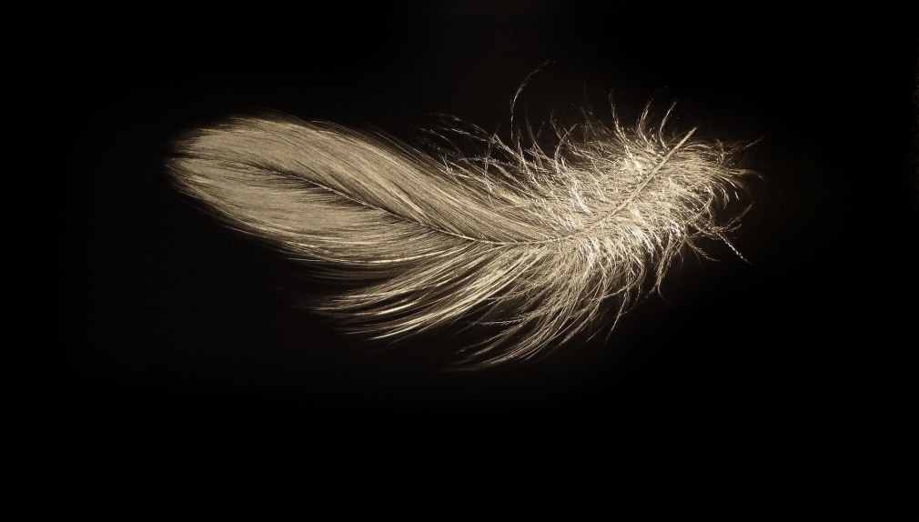 Alight Late March 2014