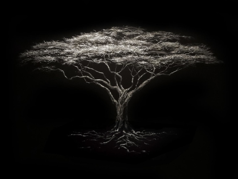 Acacia Tree incised painted aluminum