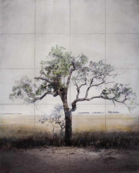 Silent Witness archival pigment print with oil and wax medium