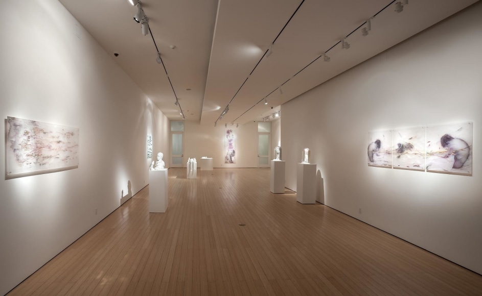 Gallery View