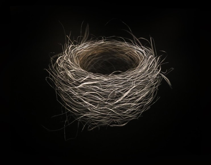 Nest