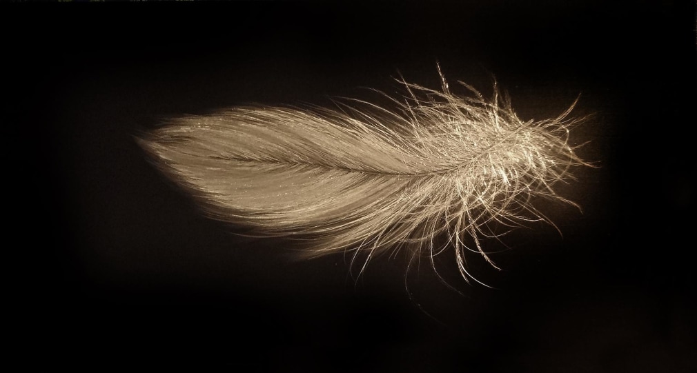 Alight Mid March 2014