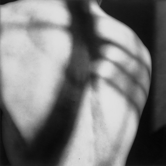 Male nude's back with shadows on it.