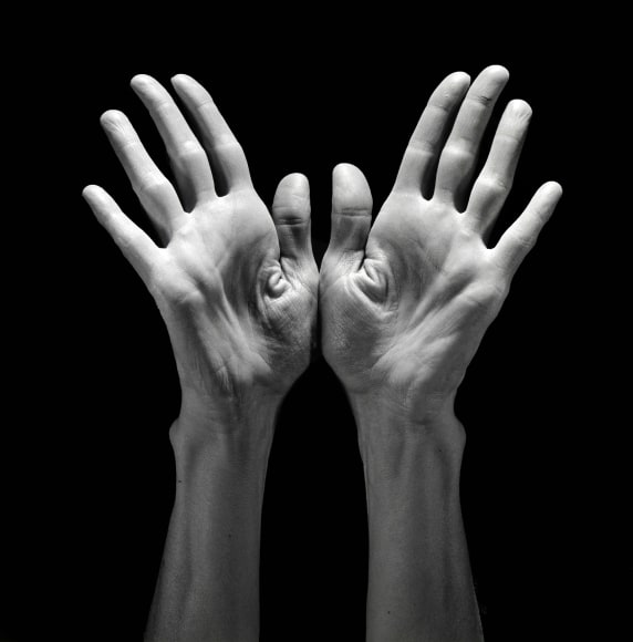 Two hands reaching up towards the light.