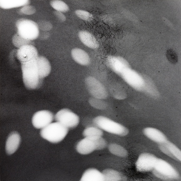 Male chest with flecks of light upon it.