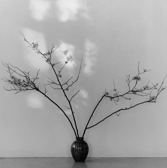 Branches in a vase.