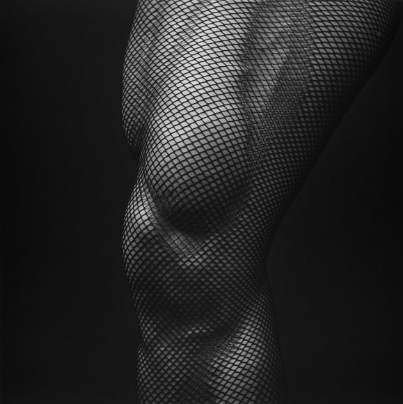 Muscular leg in fishnets.
