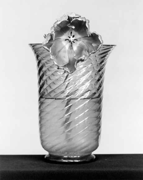 Ridged glass vase resting on a black tabletop with the top of a tulip hanging over the center edge to show the flower's interior.