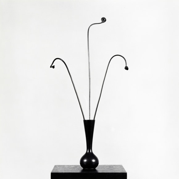 Three fiddle ferns extending out of a black wide-necked vase sitting on a small dark wood tabletop and in front of a light grey background.