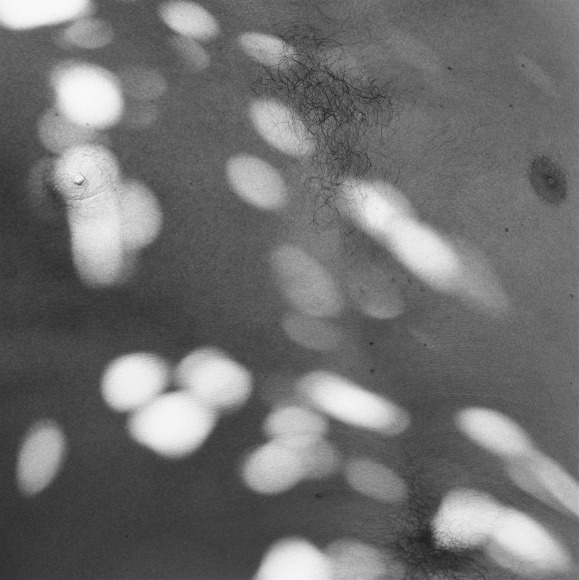 Male chest with flecks of light upon it.