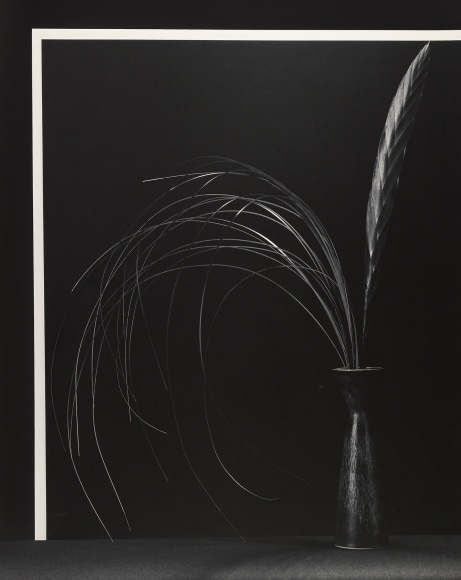 Flora in vase with geometric background.