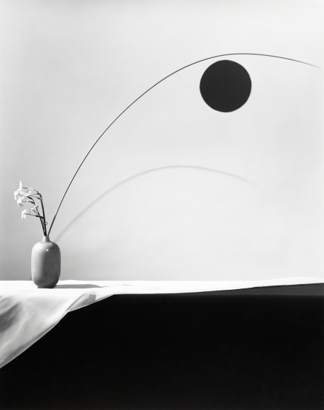 Flower, 1983