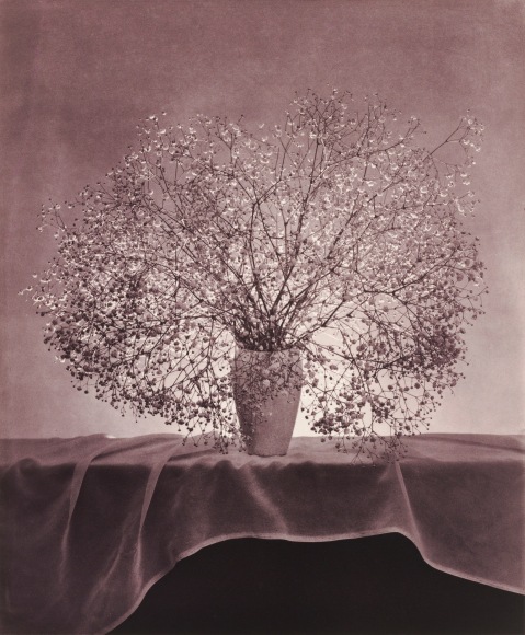 Flowers, 1983, Color Gravure