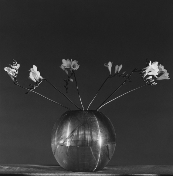 Six stems of freesia in a shiny and striated round glass vase sitting on a dark cloth tablecloth and in front of a dark background.