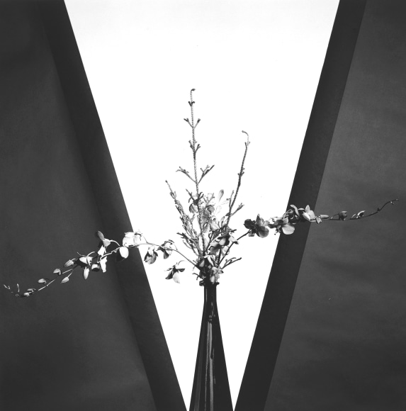 Flowers in vase against geometric background.