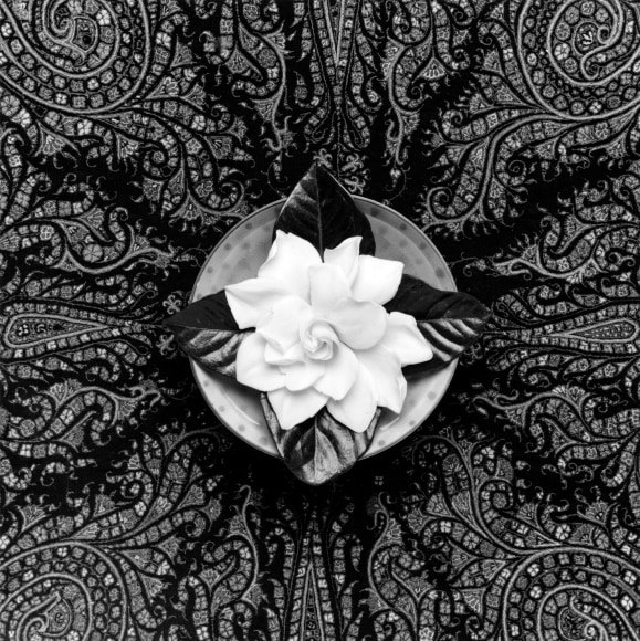 View from above of a white gardenia on a small spotted plate sitting on paisley fabric.
